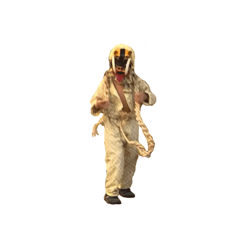 Intro animation